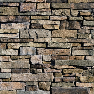 Silverton color option