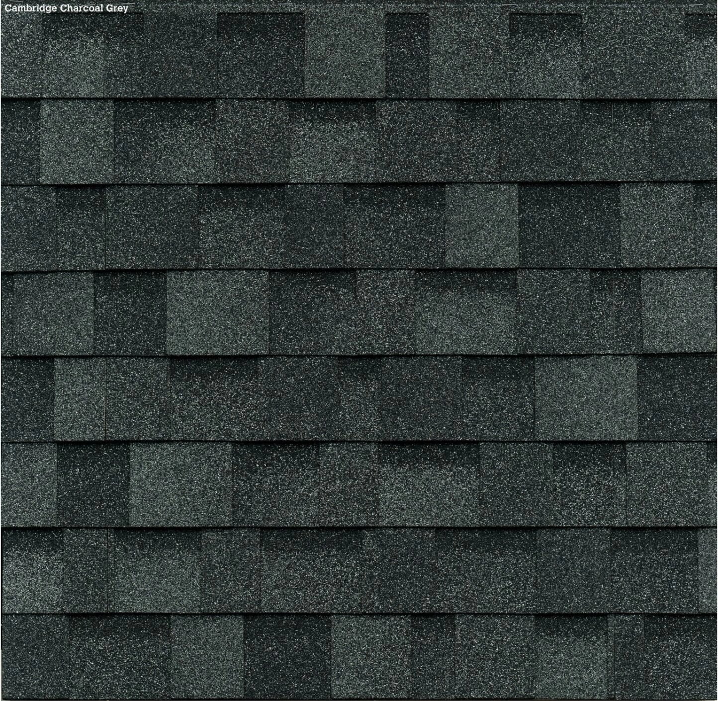 Charcoal Grey & Summit Grey color option