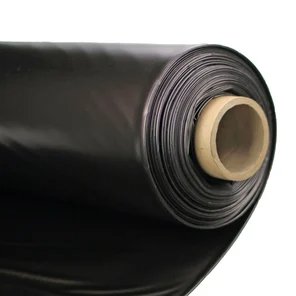 Black color option